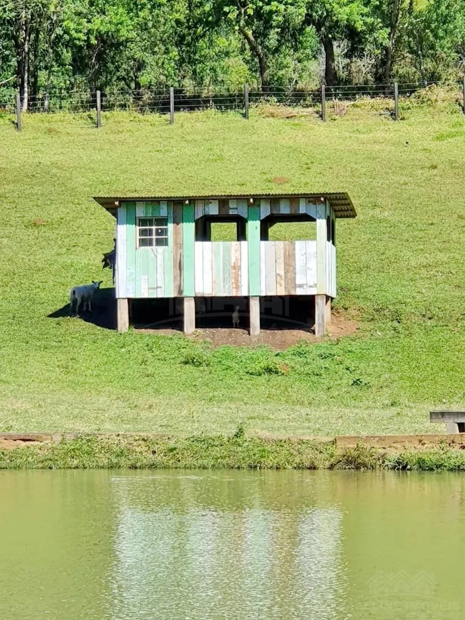 Chácara Socavão Castro - Foto 2