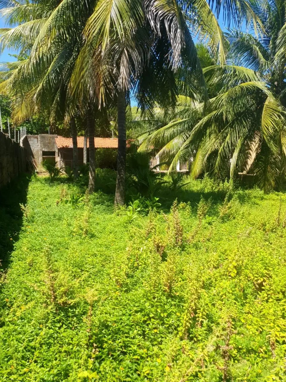 Lote à venda em rua pública, BARRA MAR, Barra de São Miguel, AL - Foto 5