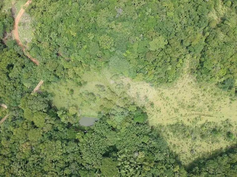 Terreno com 6.729 m² à venda, Encantada, Garopaba/SC - Foto 2