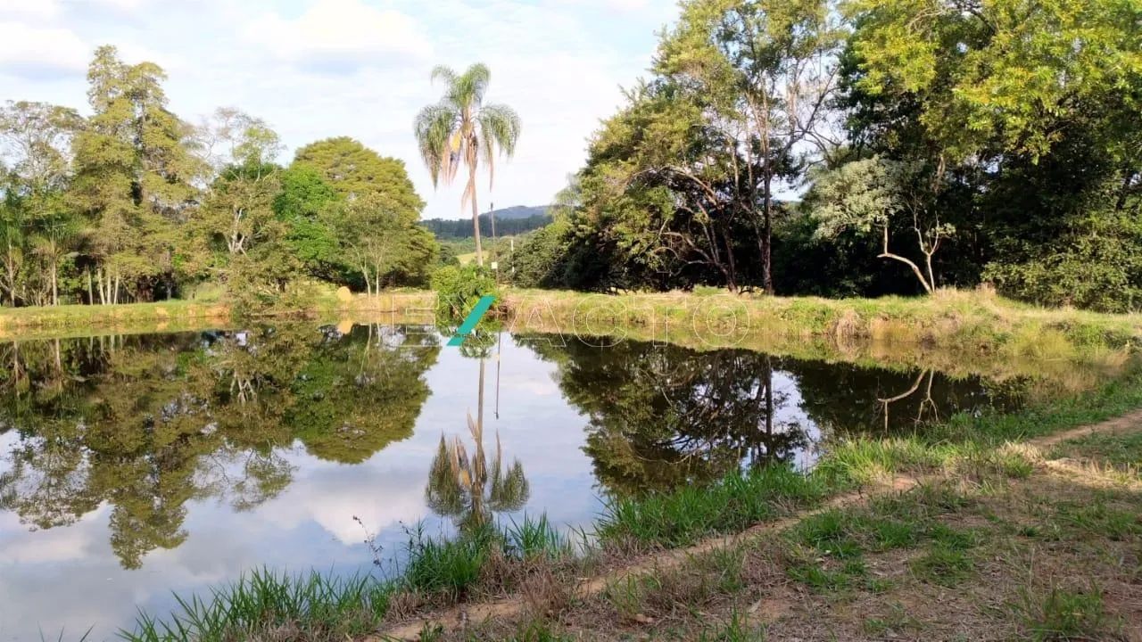 sítio - Centro - Santo Antônio de Posse - Foto 3