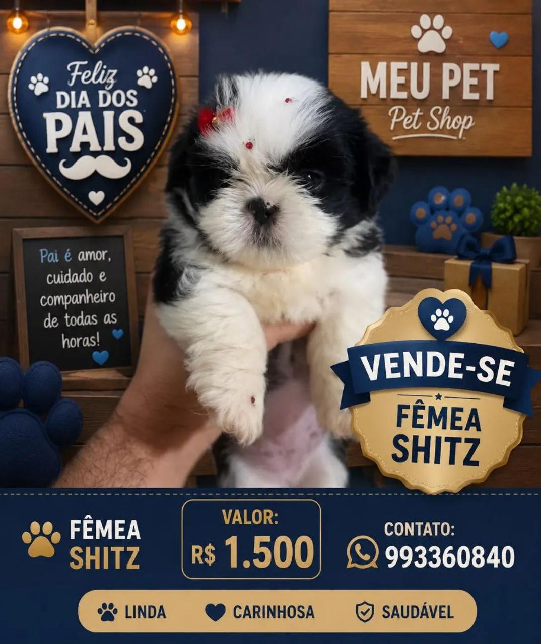 Linda Shitzu mini 