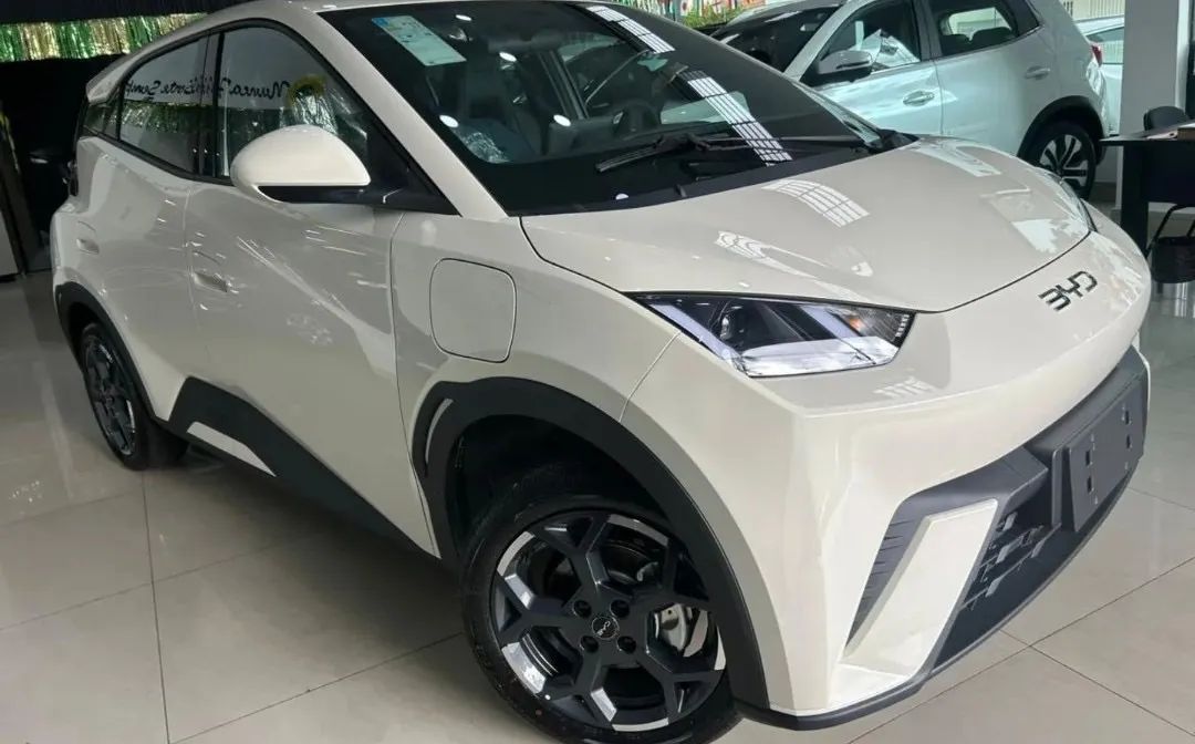 BYD Dolphin Mini (Elétrico) 2027 - Foto 2