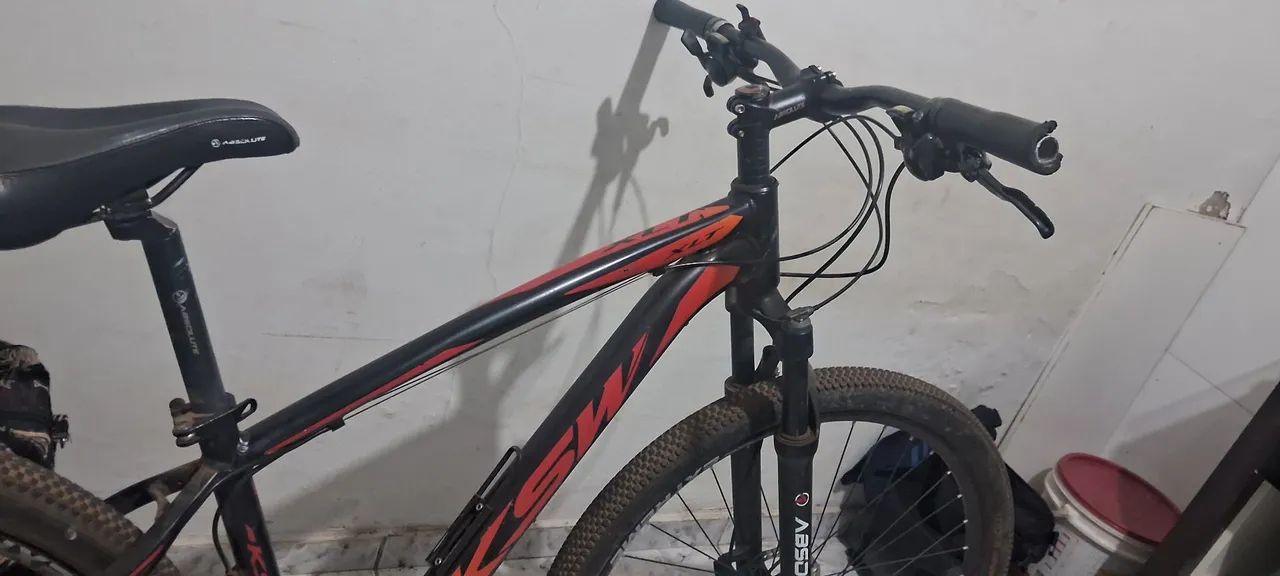 Bicicleta 29
