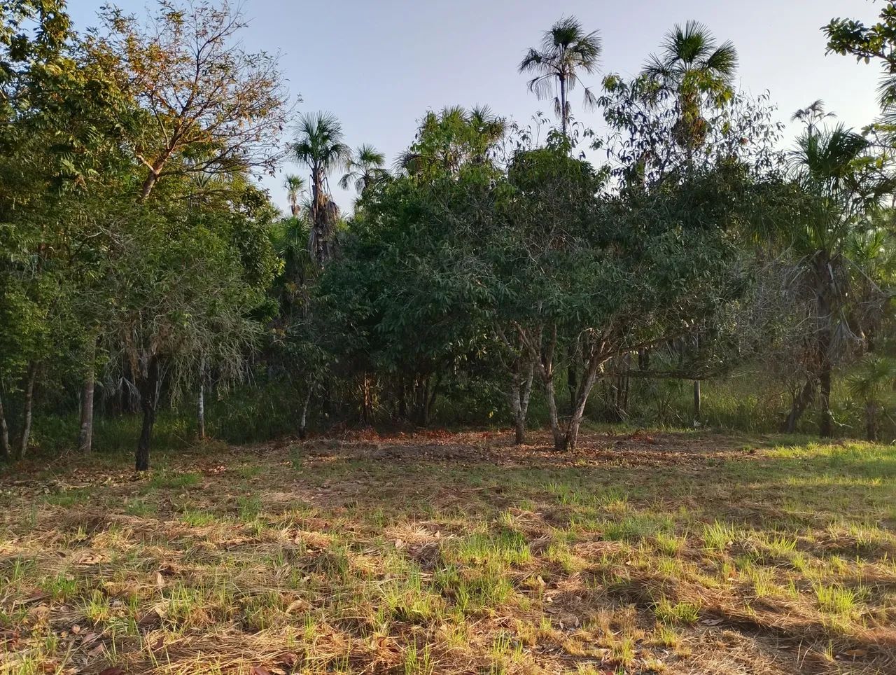 Área +/- 6.000m²  Linda!