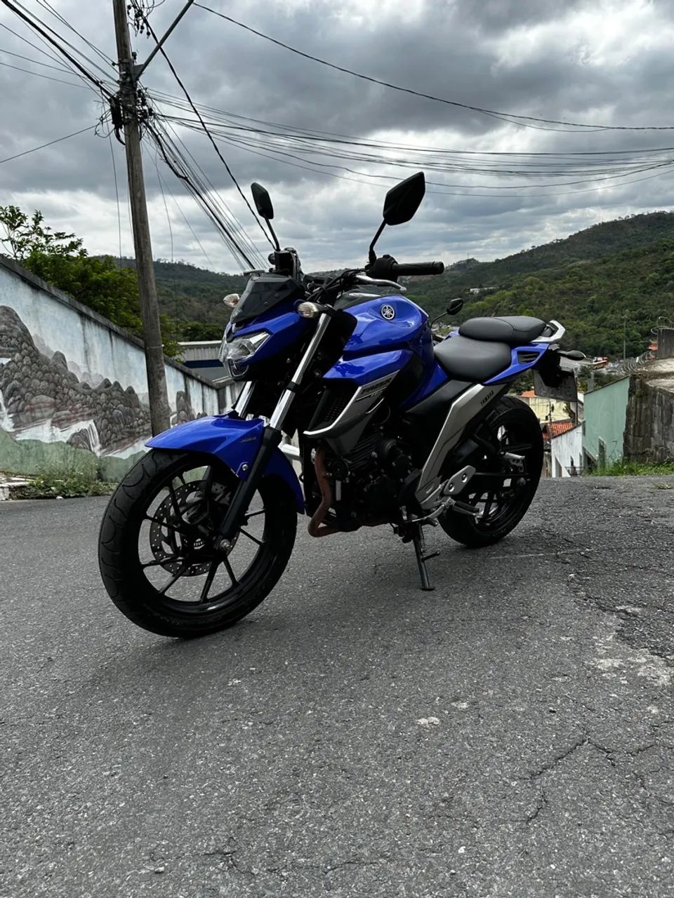 Fazer FZ25 Flex
