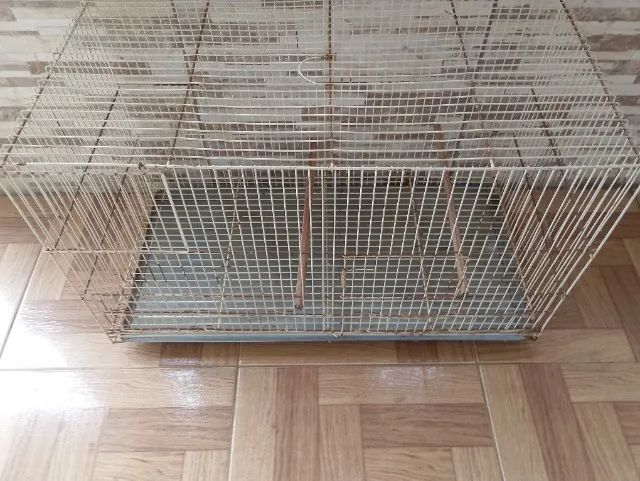 Gaiola para calopsita 