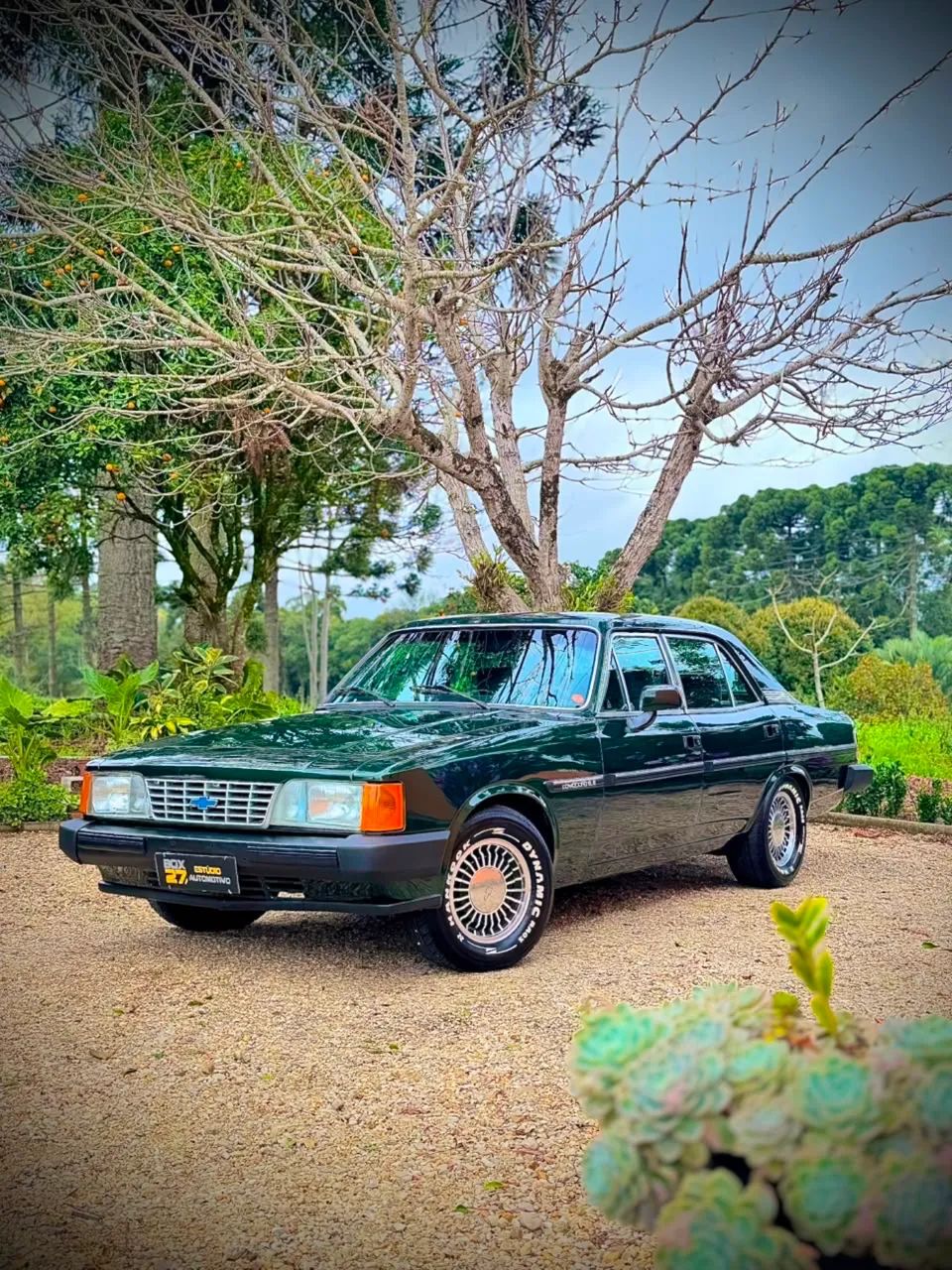 Chevrolet Opala 1990