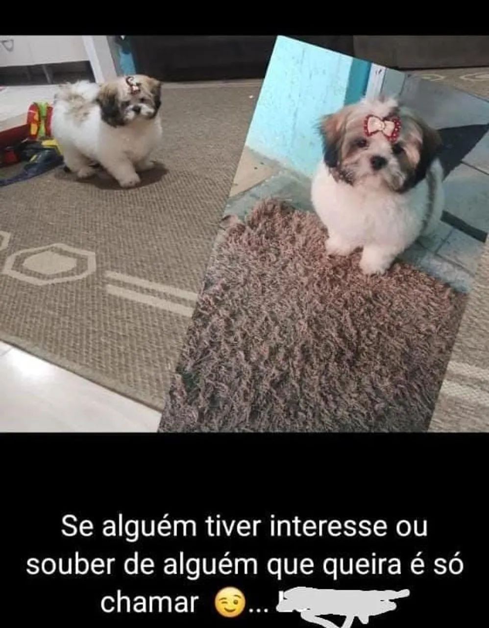 Vendo - Foto 2