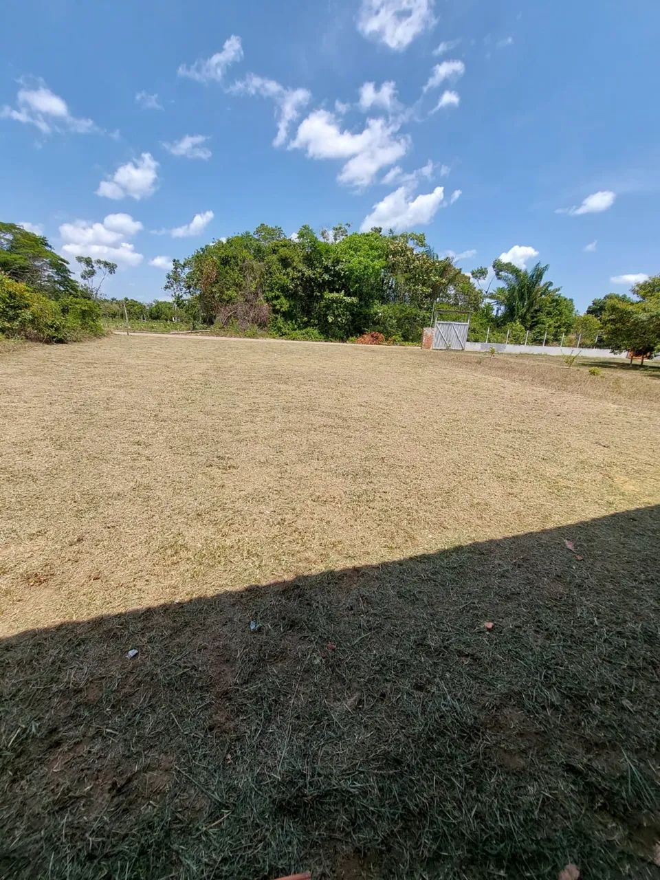 Venda sítio com casa  - Foto 5