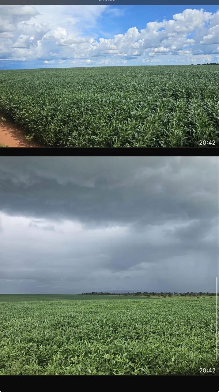 Fazenda próximo a campina verde  - Foto 3