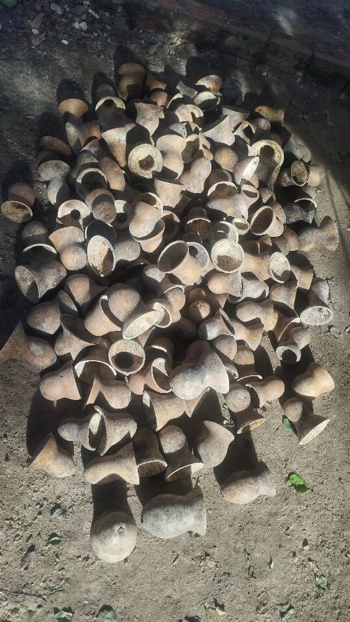 Porongos cortado pra cuia 5 reais cada 