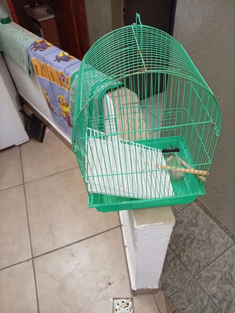 Gaiola 