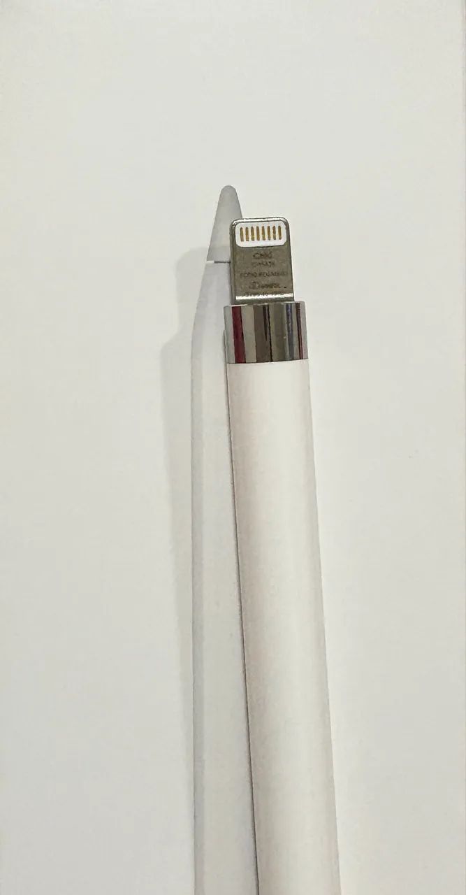 Apple Pencil 1ª Geração Original com Caixa e Acessórios - Tablets