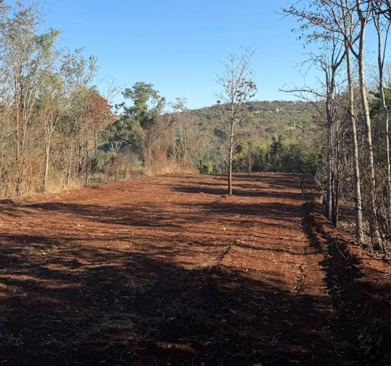 Rancho à venda na Zona Rural - Foto 3