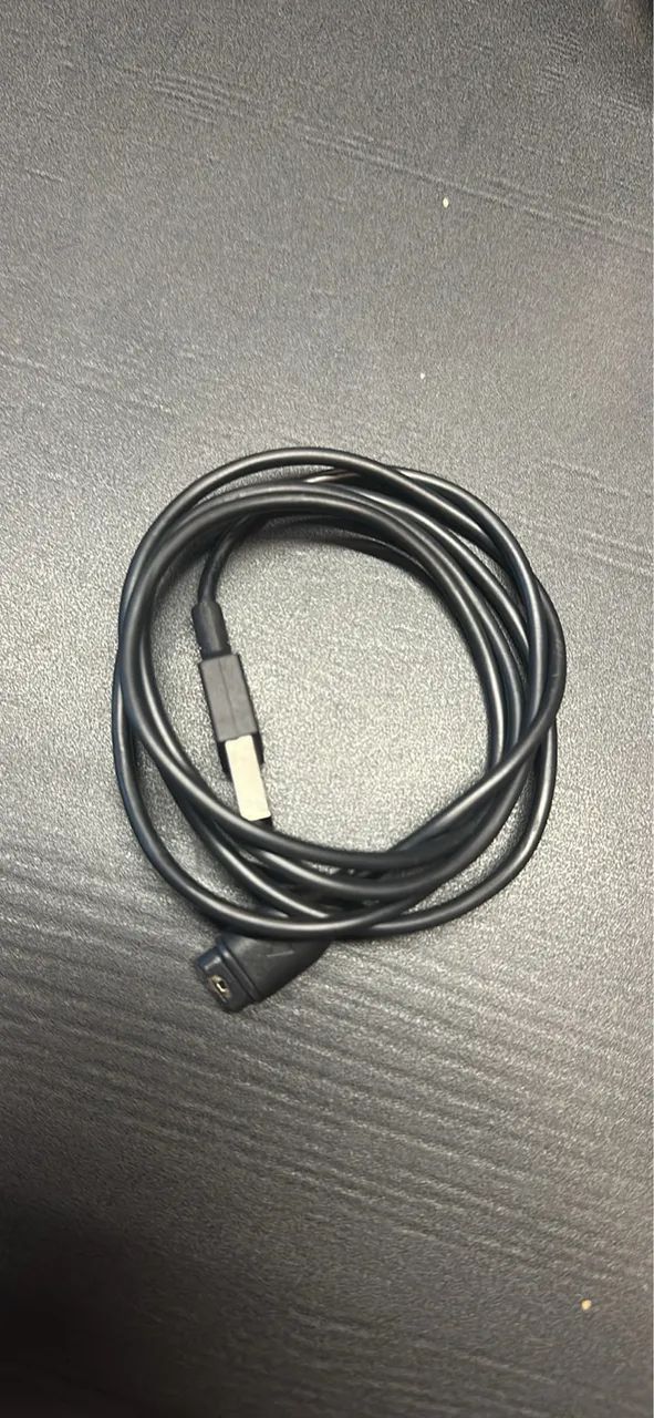 Garmin 165