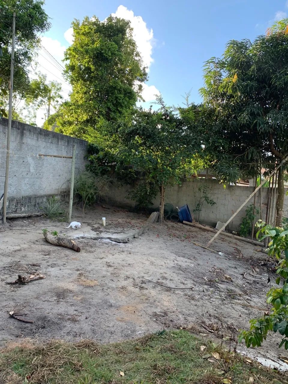 Terreno bairro xandó Trancoso  - Foto 4