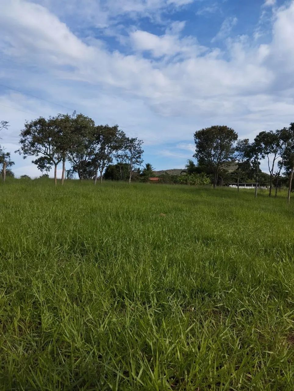 Fazenda  - Foto 2