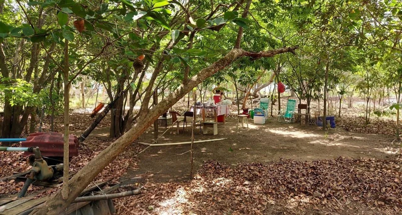 Sítio São Francisco 420mil - Foto 5