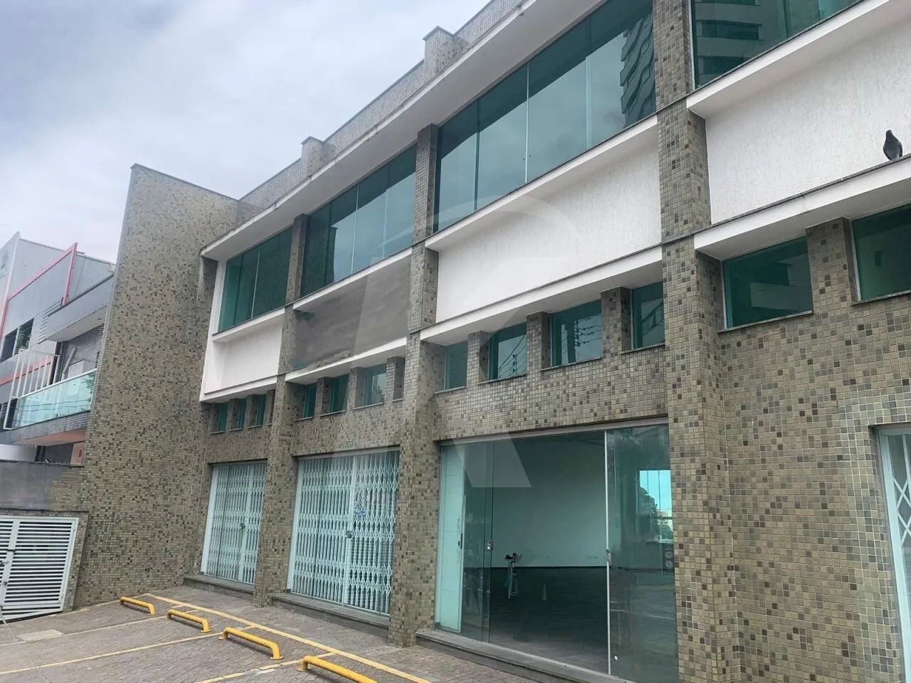Oportunidade no Tucuruvi: Prédio Inteiro com 4 Pavimentos e Elevador!
