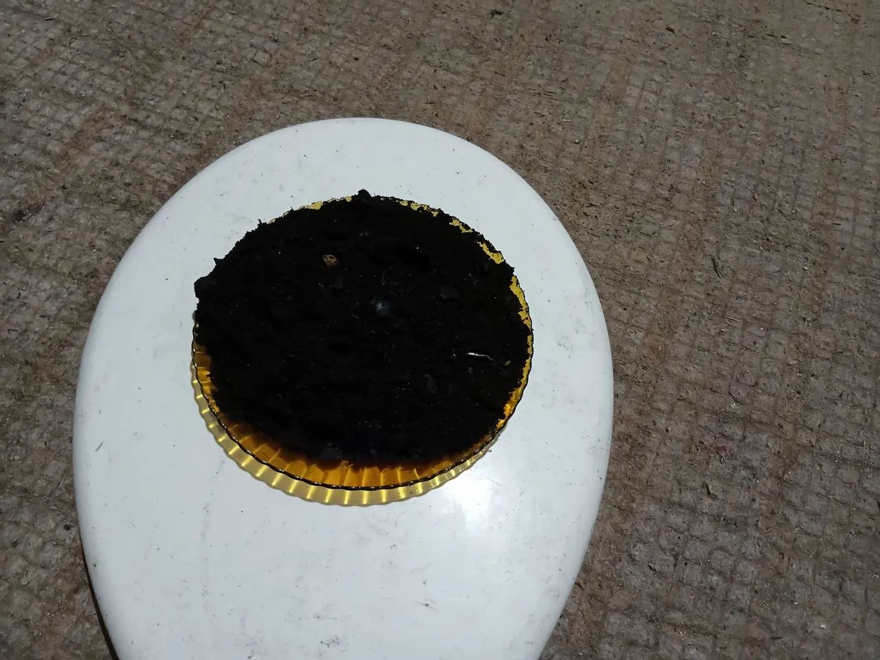 munha de carvão 