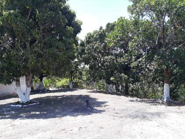 Belíssimo sitio em Chã Grande (o melhor e mais saudável clima de PE) - Foto 4