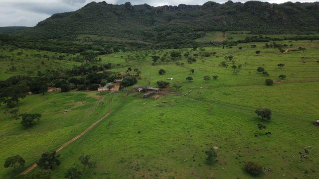 240 Alq. 160 km de Goiânia. (Gado e Soja) - Foto 5
