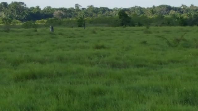Fazenda de 4250 hectares no Cantá, na Serra da lua, ler descrição do anuncio - Foto 2