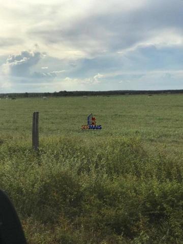 Fazenda a venda no estado do mato grosso - Foto 5