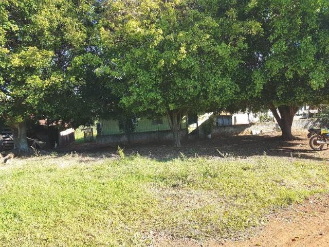 Fazenda de 100 ha em Sacramento/MG - Foto 10