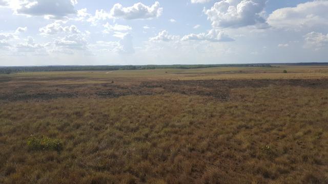 Fazenda de 4250 hectares no Cantá, na Serra da lua, ler descrição do anuncio - Foto 12