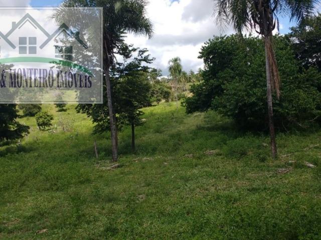 Chácara com excelente localização, sendo 21 km da cidade de Faina-GO - Foto 3