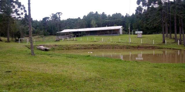 Chácara 7,5 Ha Vila Oliva