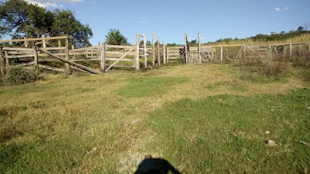 Fazenda no município de faina-GO! 24 Alqueires! - Foto 14