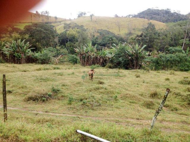 Fazenda rural à venda, Providência, Teresópolis. - Foto 10