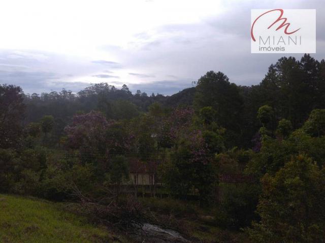 Chácara residencial à venda, Jardim das Palmeiras, Juquitiba. - Foto 15