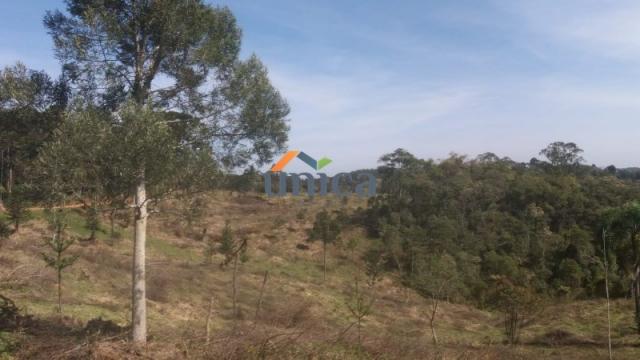 Campo alegre, campinas
