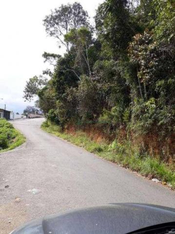 Terreno à venda, 500 m² por R$ 110.000 - Vale do Paraíso - Teresópolis/RJ - Foto 3