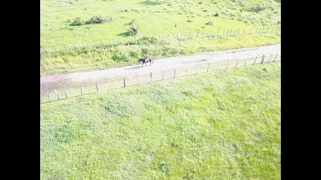 Oportunidade Única - Vendo Fazenda 1000 ha - Foto 5