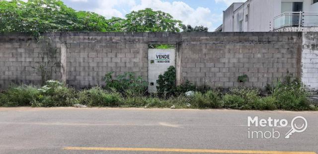 Loteamento/condomínio à venda em Chácara brasil, São luís cod:TE0006 - Foto 5