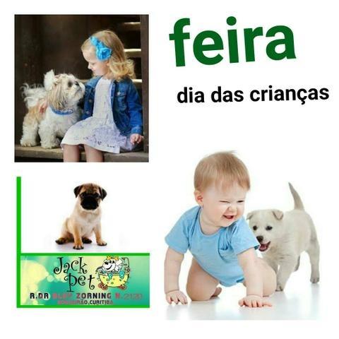 Exposiçao de Filhotes Dia Das Criancas