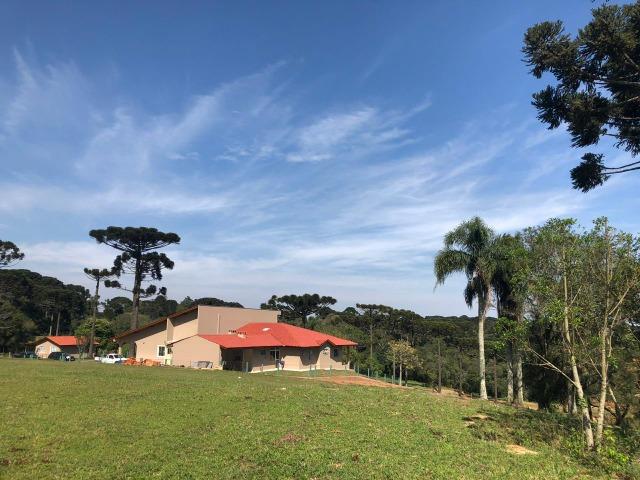 REF. 2194 - Ótima Propriedade Rural a 500 metros do asfalto e a 8 km de Araucária - Foto 16