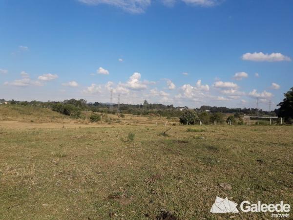 Área Industrial - São José dos Pinhais - Foto 5