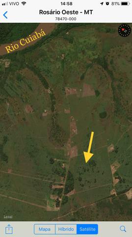 11 hectares formado