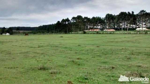 Chacara|Área com 60.000m² em São José dos Pinhais - Foto 8