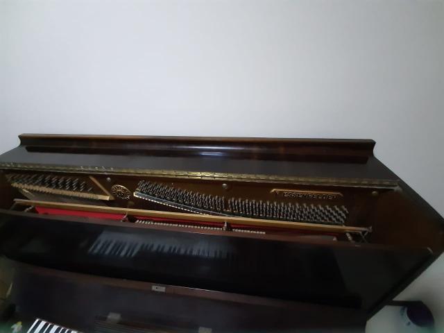 Piano Essenfelder - Conservadissímo - Foto 6