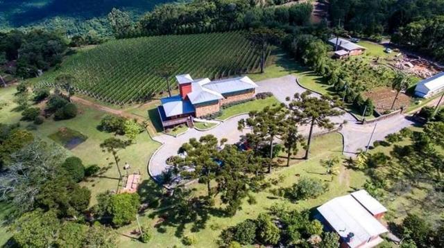 Vinícola em Gramado em produção - Foto 4
