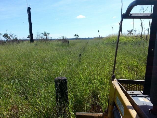 Fazenda região de Juara F0022 - Foto 13
