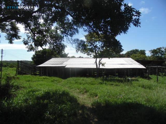 Fazenda à venda, 800000 m² por R$ 550.000,00 - Zona Rural - Nossa Senhora do Livramento/MT - Foto 11