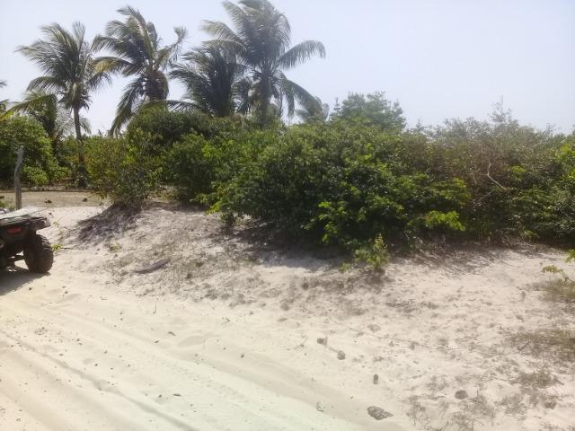 Vendo Terreno Atins Lençóis Maranhenses - Foto 2