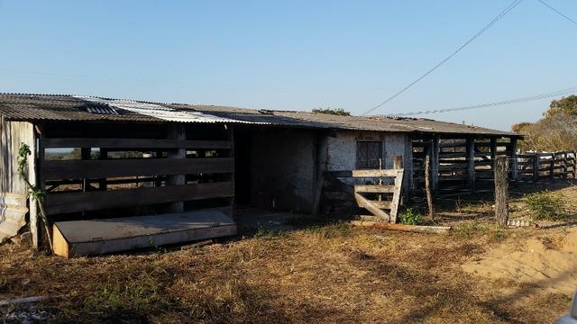 Sitio para arrendamento na região do aricazinho, pedra 90 - Foto 7